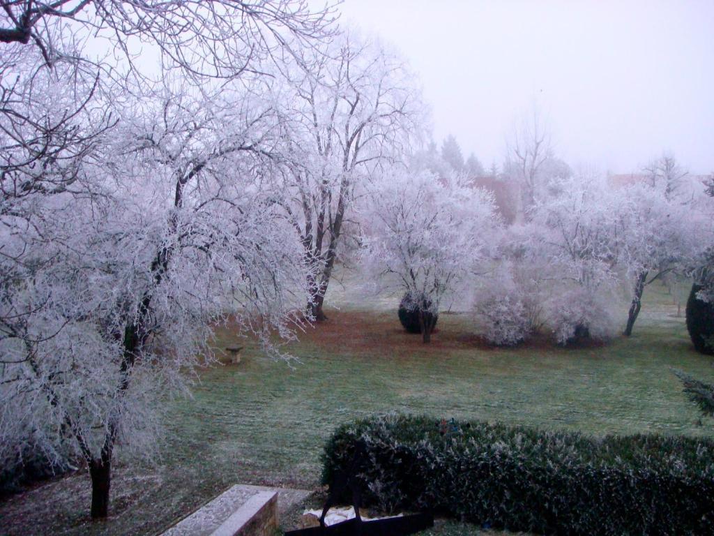 L'Atelier Du Relais Bed & Breakfast Laives Bagian luar foto